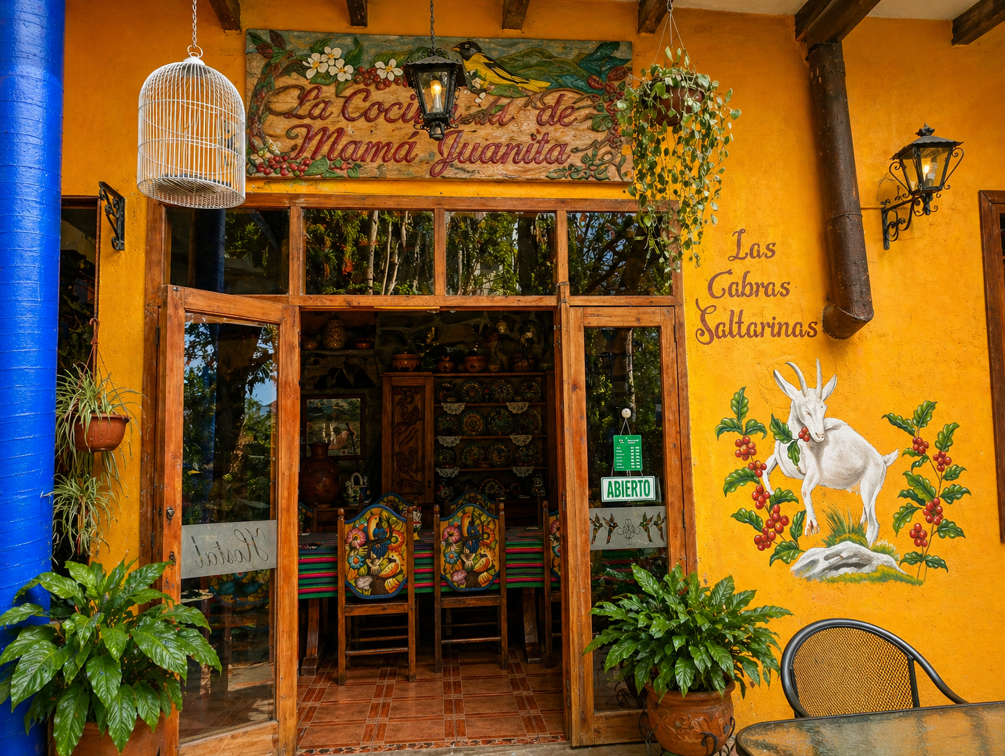 Jardín con vegetación tropical